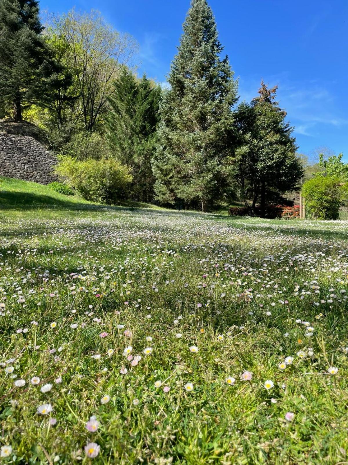 Can Torrotes Pension La Vall de Bianya Buitenkant foto